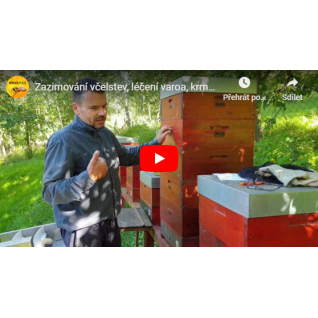 Zazimování včelstev, léčení varroa, krmení cukerným roztokem, 6.7. 2020