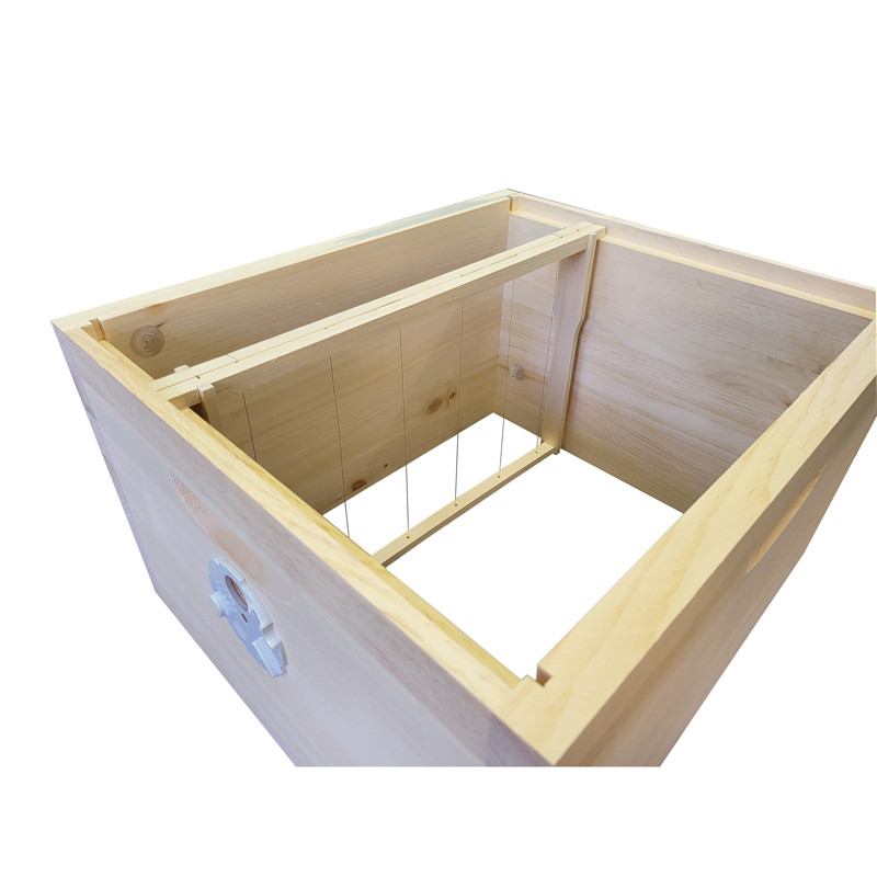 Včelí nástavek B10, Borovice vejmutovka