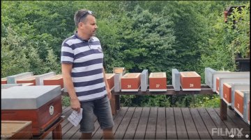 Plemenáče na 5-ti zakladených plástech, přesun do nástavku, 27.6.2023