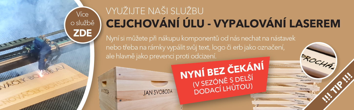 VYPALOVÁNÍ LASEREM