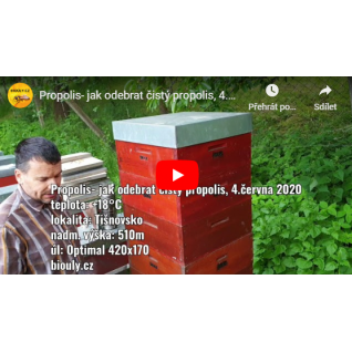 Propolis - jak odebrat čistý propolis, 4.6. 2020