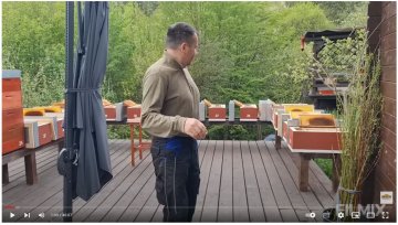 Líhnutí matek, vytváření oddělků v plemenáčích 3.5.2023