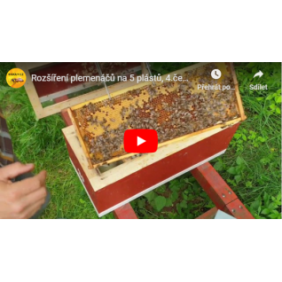Rozšíření plemenáčů na 5 plástů, 4.6.2020