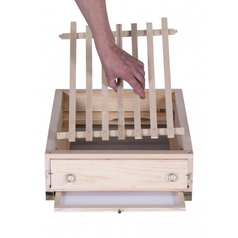 Varroa dno pre úľ B10 a E10 so stavebnou zábranou, borovica hladká (vejmutovka)