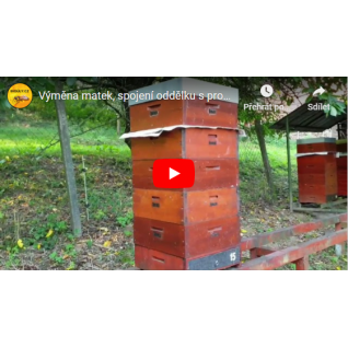 Medobranie lipy, zazimovanie, 740kg medu ze 7 včelstev, priemer 106kg na včelstvo, diel č.1