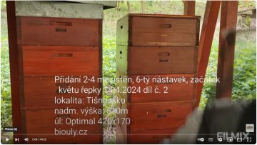 Přidávání 2-4 mezistěn, 6-tý nástavek, začátek květu řepky, 14.4.2024, díl č.2
