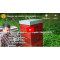 Propolis - jak odebrat čistý propolis, 4.6. 2020