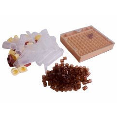 APIMAT - přelarvovací systém pro chov matek