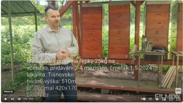 Medování v polovině květu řepky-25kg na včelstvo, přidávání 2-4 mezistěn, čmelák, 1.5.2024