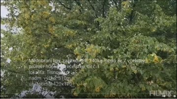 Medobraní lípy, zazimování, 740kg medu ze 7 včelstev, průměr 106kg na včelstvo, 13.7.2023, díl č. 2