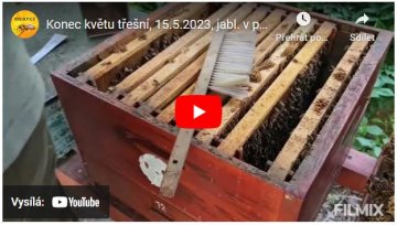 Konec květu třešní, 15.5.2023, jabl. v poup., řepka 8.den v květu, 4 medníky, 30-40kg medu, díl č.2