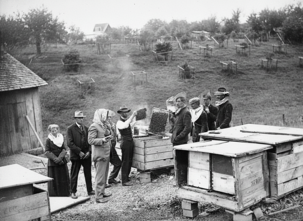 včelařská demonstrace 19. století